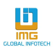 IMG Global Infotech Pvt. Ltd profile