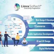 Limra Softech India Private Limited profile