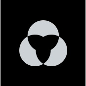 The Monkeys profile
