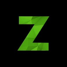 Zemoga profile