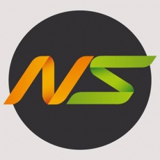 NOBLE STRATEGY profile