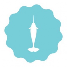 Narwhal Digital profile