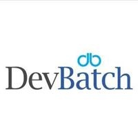 DevBatch profile