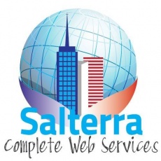 Salterra Web Service profile