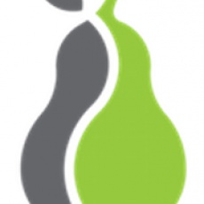 Pear Analytics profile