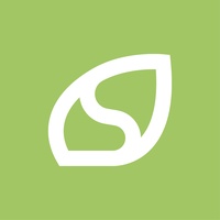 Seed Creativity profile