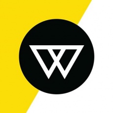 Wingard profile