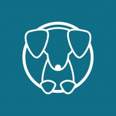 Hot Dog Marketing profile