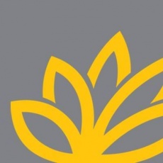 Brand Buddha profile