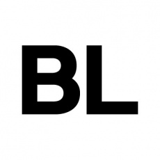 Bailey Lauerman profile