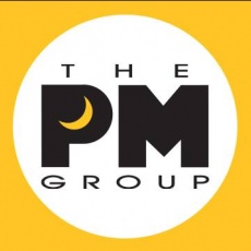 THE PM GROUP profile