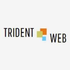 Trident Web Infoservices profile