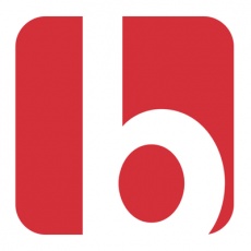 Brandtailers profile