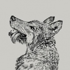 Smiling Wolf profile