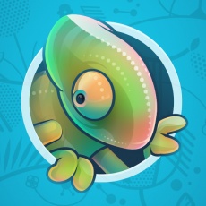 Chameleon Studios Ltd profile
