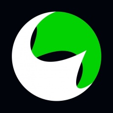InSync Creative profile
