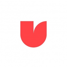 Vivo Group profile