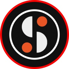 Synarion IT Solutions profile