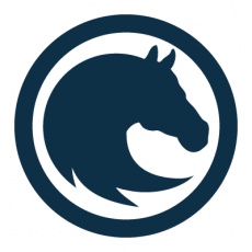 Workhorse Marketing profile