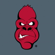 Angry Ape Creative profile
