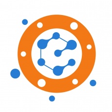 Orion eSolutions profile