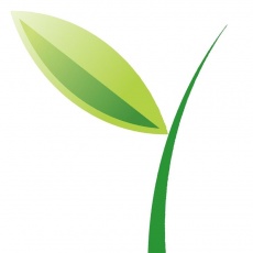 Green Vine Marketing profile