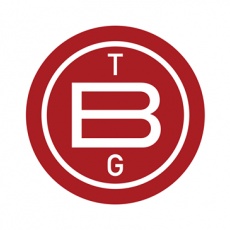 The Buntin Group profile